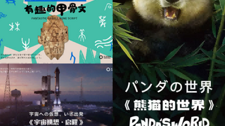 中国XR文旅扬帆出海 “宇宙猜想“沉浸式展览亮相大阪世博会