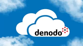 Denodo公布2025年度卓越合作伙伴奖获奖名单