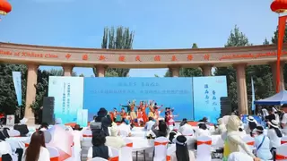 远方好物：“疆”品南下助振兴 “杏”运湾区品“真好”