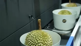 市舶士马来西亚榴莲品鉴会收官，百位先锋共塑价值标准