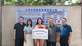 传音支持建设临泽枣草科技小院 助力破解产业发展难题