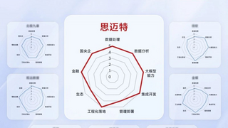 技术与行业双第一，思迈特在IDC 技术评估中全面领跑 ChatBI 厂商阵营