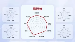技术与行业双第一，思迈特在IDC 技术评估中全面领跑 ChatBI 厂商阵营