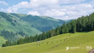 图森可持续发展设计实践计划 · 北疆“再塑”研学丨艺术知与行