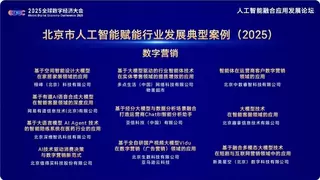 值得买科技CTO王云峰出席2025全球数字经济大会：以“AI+”构建消费行业新生态