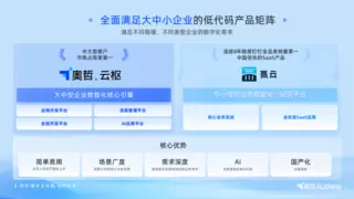 IDC权威发布！奥哲再次获得中国低零代码独立厂商第一！