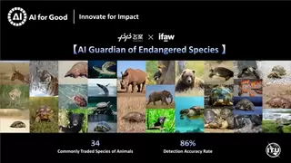 入选联合国案例集！AI拯救濒危动物，飞桨助力清除1.3万余条非法贸易广告