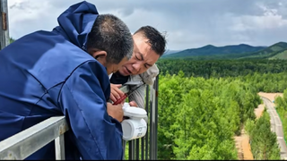 神眸公益AI生态守护计划-科技助力绿色北疆原始森林野生动植物保护