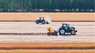 乡村振兴风口下 职点迷津带你把握涉农央国企“蓝海”机遇