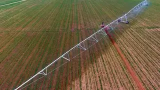 大禹节水：破解高标准农田建设难题，扛牢粮食安全重担