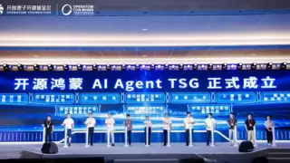 开源鸿蒙AI Agent TSG正式成立，推动Agent技术生态共建