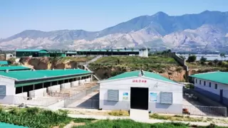 从田间到货架：央牧乳业重构有机羊乳价值链 陕西千亿产业集群加速成型