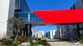 既是菌菇专家也是调味先锋，百山祖品牌凭什么成为双领域实力厂家？