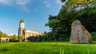 东软五年领跑医保信息化赛道 战略升级直面未来化需求