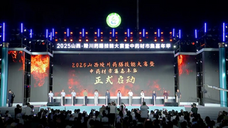 2025山西·陵川药膳技能大赛暨中药材市集嘉年华成功举办