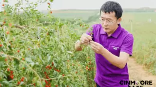 神眸走进星星的故乡-宁夏中卫 探索AI智能影像助力农旅产业生态新机遇