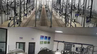 央牧乳业：以“真“为核铸就羊乳传奇，重新定义高端营养新范式