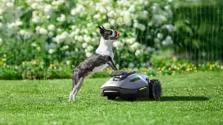 零安装割草时代，库犸Mammotion发布三目视觉割草机器人