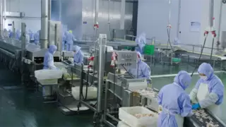 链多多亮剑2025：三大战略重塑冻品格局，创新引擎驱动增长新未来