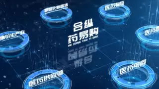 药易购半年报：战略布局深化构筑增长新引擎，短期利润承压，长期价值版图持续清晰