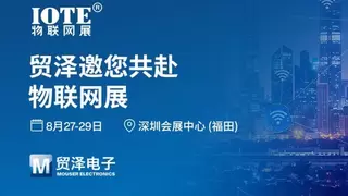 万物智联 创见未来丨贸泽电子盛装亮相2025 IOTE深圳物联网展