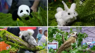 技术与自然法则的交织创新——恒之未来Hengbot World惊艳亮相2025WRC