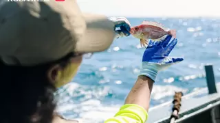 老板电器×小红书“寻鲜记”：为鲜活出发，探索至鲜本味