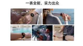 荣耀手表Fit能量表盘上新 叠加专属优惠390.15元起