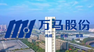 重大基建密集开工 + 行业集中度提升，万马股份电缆业务迎多重机遇