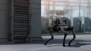 智能“机器狗”亮相广博会 视源股份四足机器人提供展会、赛事安保新思路