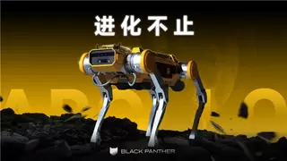 国内首款模块化四足机器人-Apollo 从“白犀”吉尼斯纪录走来，引领行业进入“定制化时代”