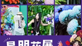 潮玩互动、薅羊毛福利！昆明花展同期活动打造秋日狂欢