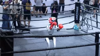 人形机器人进入3万元时代：WRC 2025的产业化分水岭