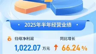 南凌科技发布2025半年报：归母净利润同比增长66.24%，盈利能力和经营质量显著提升