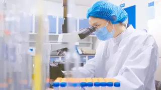 伊利集团中国婴幼儿奶粉销量第一！金领冠“0 碳有机”实践引领高端婴配粉新未来