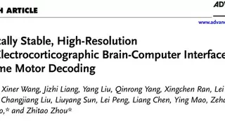 破解通用难题！首个高通量柔性脑机接口长期稳定植入研究成果发表