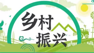 我为群众办实事 -----脱下军装换工装 初心如炬筑梦乡村振兴