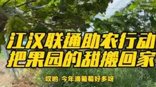 江汉联通助农行动:架起网络桥梁，让果园甜蜜走向全国