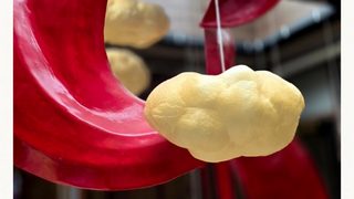 国行独占 三星Galaxy Z Fold7|Z Flip7、S25系列抢先更新照片水印