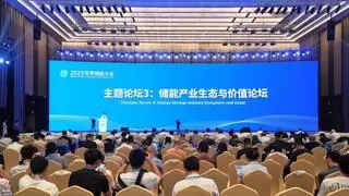 2025WESC | “储能产业生态与价值”主题论坛在福建宁德成功举办