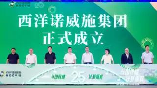 西洋诺威施贾启彬：“溯源、破局、谋远”的发展三部曲