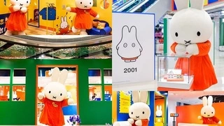 限时开启！miffy café 70周年限时主题店全国首站登陆上海BFC速领打卡指南