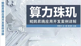 华为全联接大会2025首发《算力珠玑》十大实战案例助力开发者攻克鲲鹏、昇腾开发难关