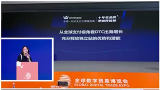 全球数贸会 | WINTOPAY受邀发表主题演讲，荣膺“2025 年度新锐支付服务品牌”