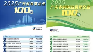 排名提升，传音控股荣列“2025广东省民营企业100强”第18名