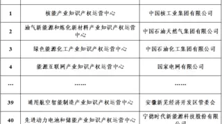 海尔获批筹建的家电业首个知识产权运营中心正式被国家认定
