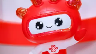 公益路上的闪耀之星