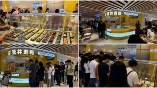 金秋十月捷报：苍井寿司500+门店客流旺，羊城三新店焕新亮相