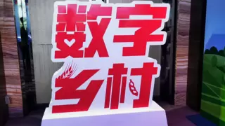 湖北荆州联通数字乡村建设显成效 通信服务保障暖人心