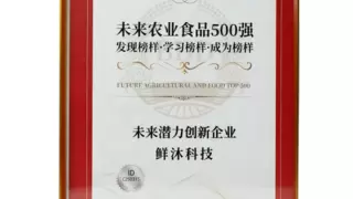 供应链创新驱动，鲜沐科技荣膺“未来潜力创新企业”殊荣